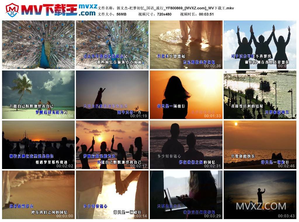 郭文杰-祀梦初忆_国语_流行_YF800869
